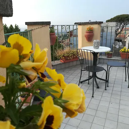 Bed & Breakfast Buonfiglio Cicconcelli - Terrazza Panoramica Frascati